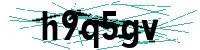 Security verification captcha