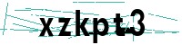 Security verification captcha
