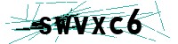 Security verification captcha