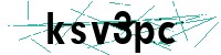 Security verification captcha