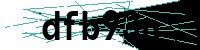 Security verification captcha