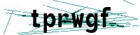 Security verification captcha