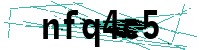 Security verification captcha