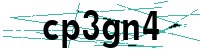 Security verification captcha