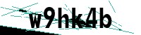 Security verification captcha