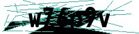 Security verification captcha