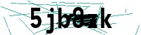 Security verification captcha