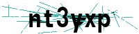 Security verification captcha