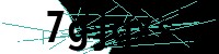 Security verification captcha