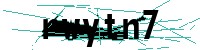 Security verification captcha